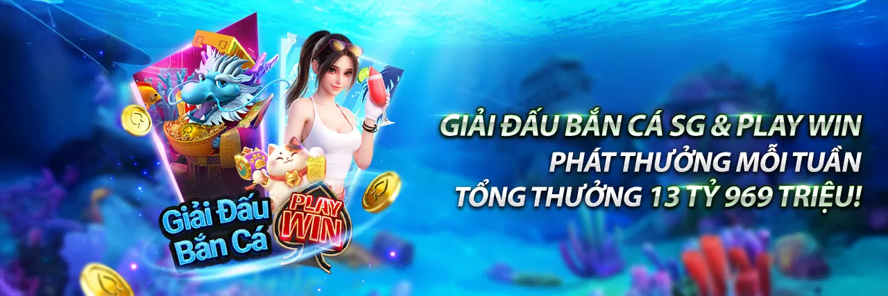 Hình ảnh chính win23 code